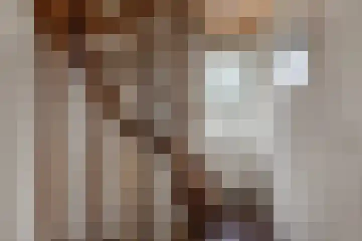 Secr Schokkerstraat 7 Ammerzoden thumbnail 18