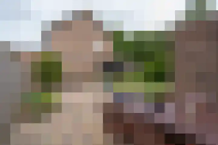 Secr Schokkerstraat 7 Ammerzoden thumbnail 26
