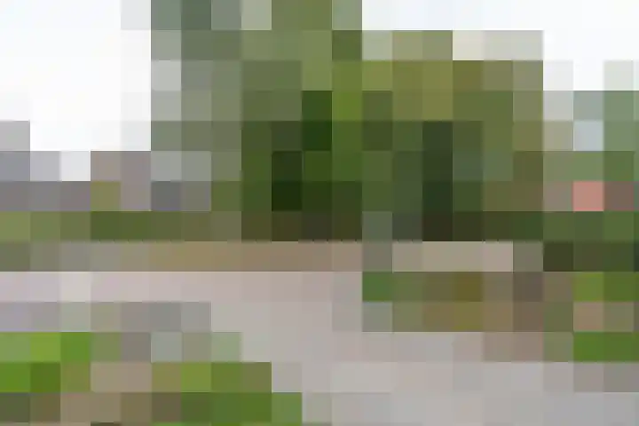 Secr Schokkerstraat 7 Ammerzoden thumbnail 32