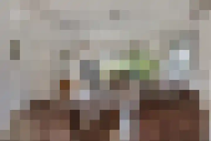 Secr Schokkerstraat 7 Ammerzoden thumbnail 9