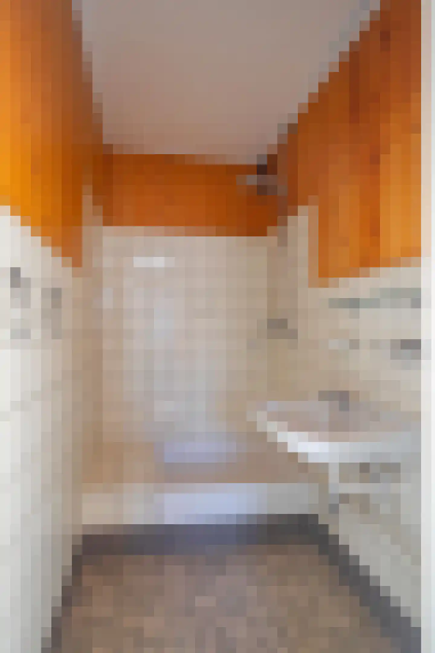 Secr Stregenstraat 5 Stein thumbnail 19