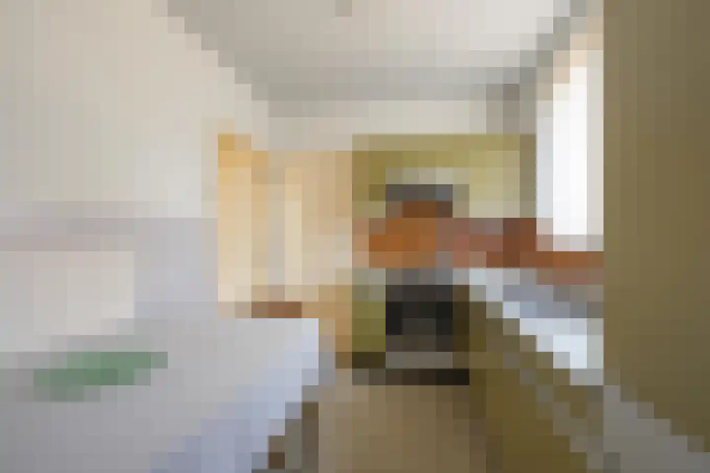 Secr Stregenstraat 8 Stein thumbnail 10