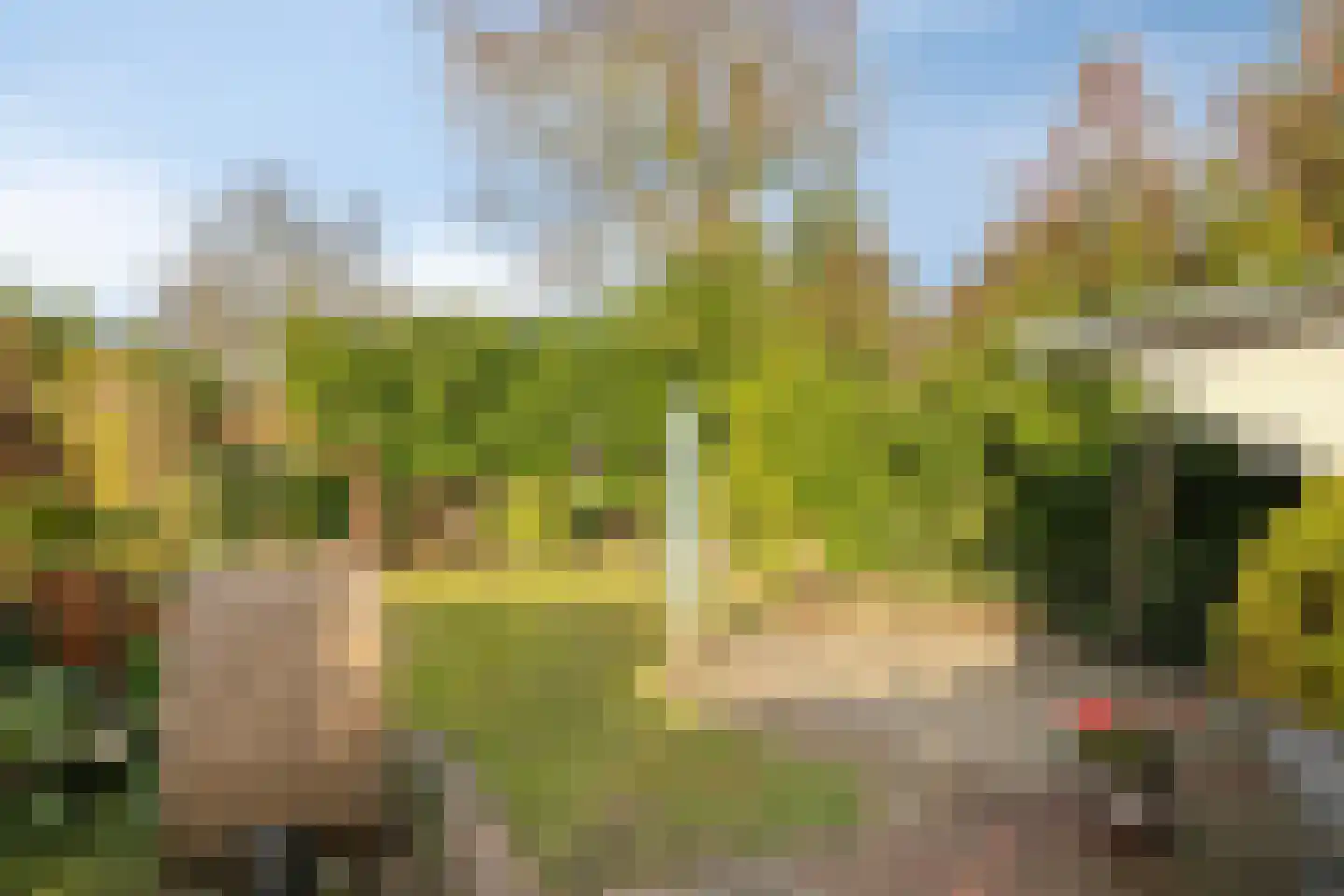 Secretaris A.W.G. Goldsteinplantsoen 6 de Wijk thumbnail 31