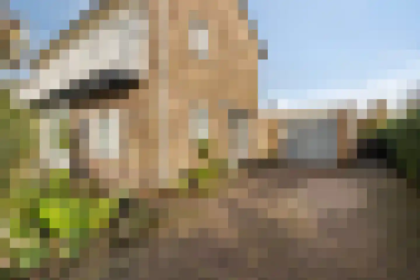 Secretaris A.W.G. Goldsteinplantsoen 6 de Wijk thumbnail 35