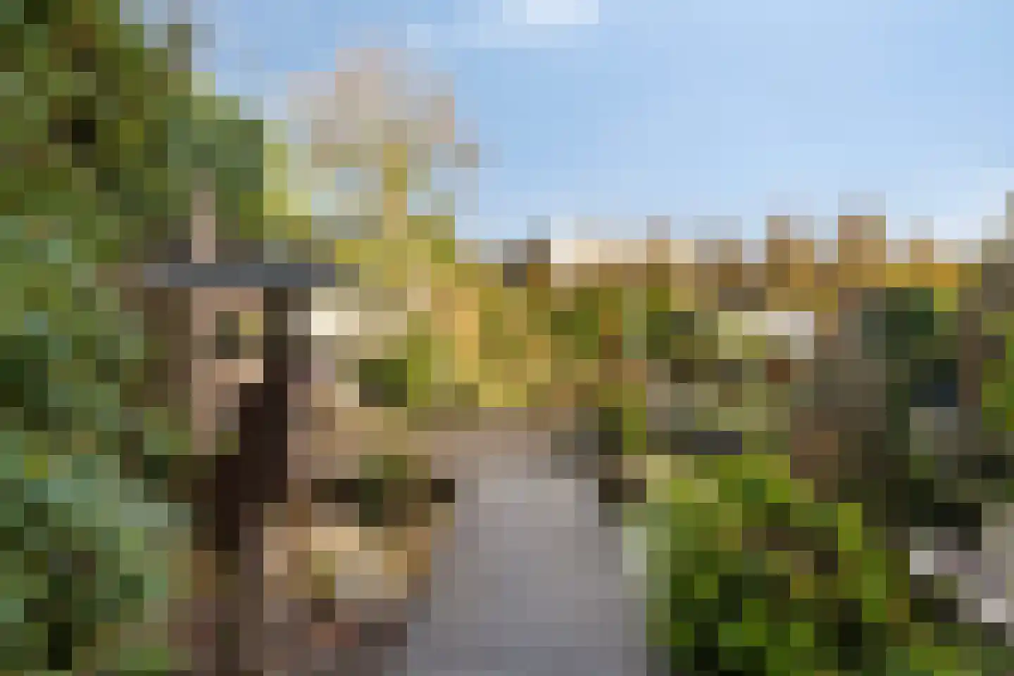 Secretaris A.W.G. Goldsteinplantsoen 6 de Wijk thumbnail 4