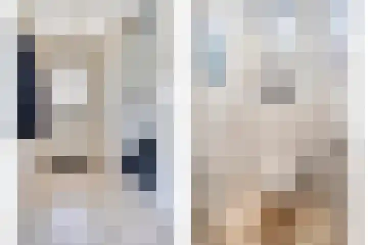 Secretaris Aeldersstraat 3 Gemert thumbnail 10