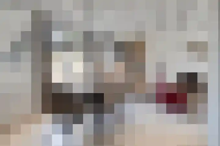 Secretaris Aeldersstraat 3 Gemert thumbnail 11