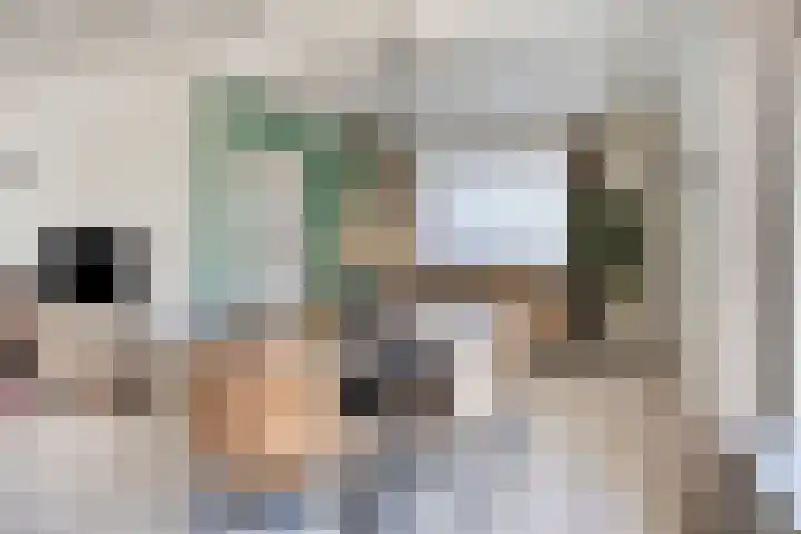 Secretaris Aeldersstraat 3 Gemert thumbnail 12