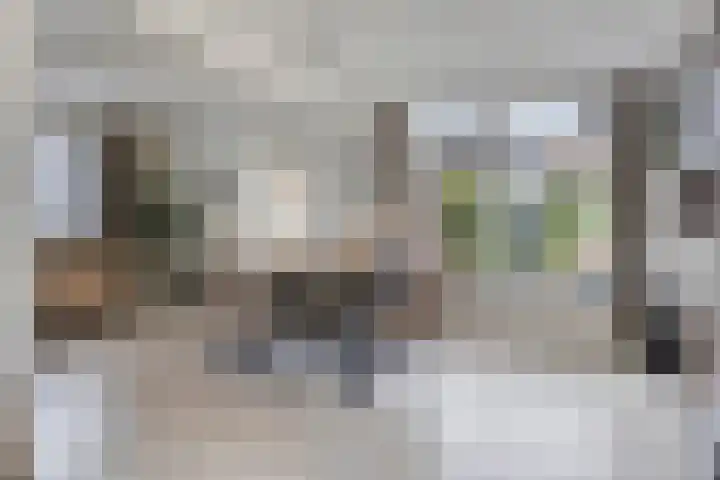 Secretaris Aeldersstraat 3 Gemert thumbnail 13