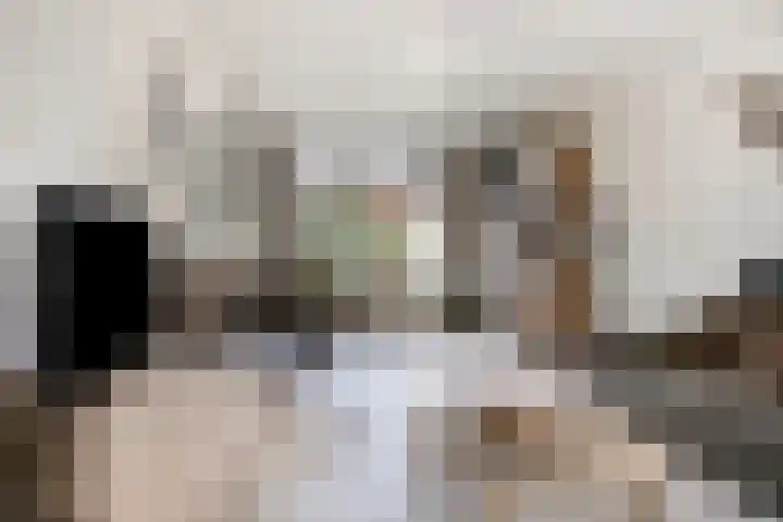 Secretaris Aeldersstraat 3 Gemert thumbnail 15