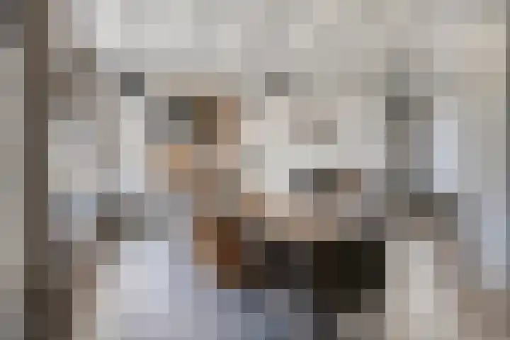 Secretaris Aeldersstraat 3 Gemert thumbnail 16