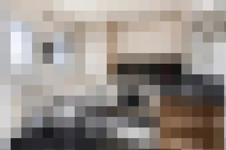 Secretaris Aeldersstraat 3 Gemert thumbnail 17