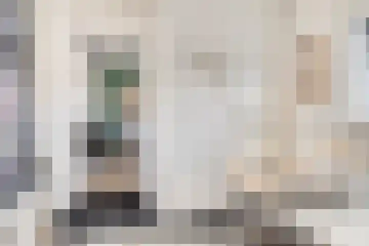 Secretaris Aeldersstraat 3 Gemert thumbnail 19