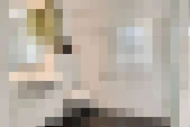 Secretaris Aeldersstraat 3 Gemert thumbnail 22