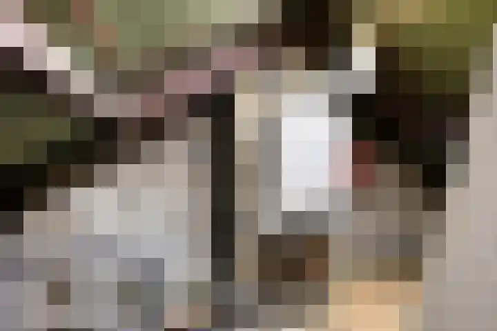 Secretaris Aeldersstraat 3 Gemert thumbnail 30