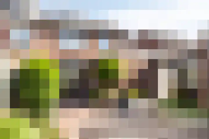 Secretaris Aeldersstraat 3 Gemert thumbnail 35