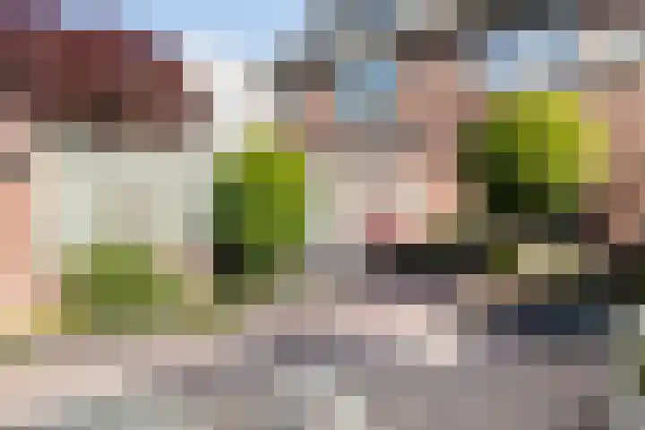 Secretaris Aeldersstraat 3 Gemert thumbnail 36