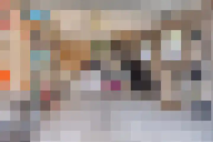 Secretaris Aeldersstraat 3 Gemert thumbnail 37