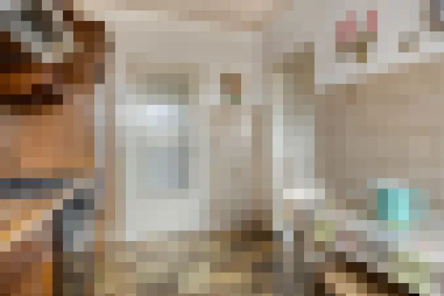 Secretaris Bertenslaan 3 Halsteren thumbnail 12