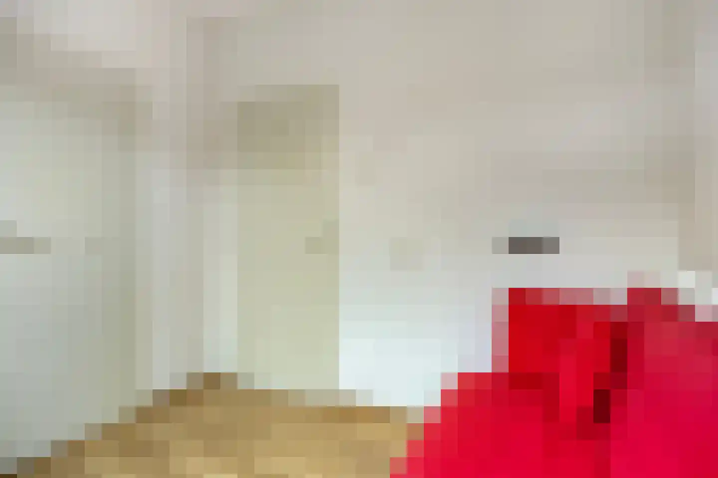 Secretaris Bertenslaan 3 Halsteren thumbnail 15