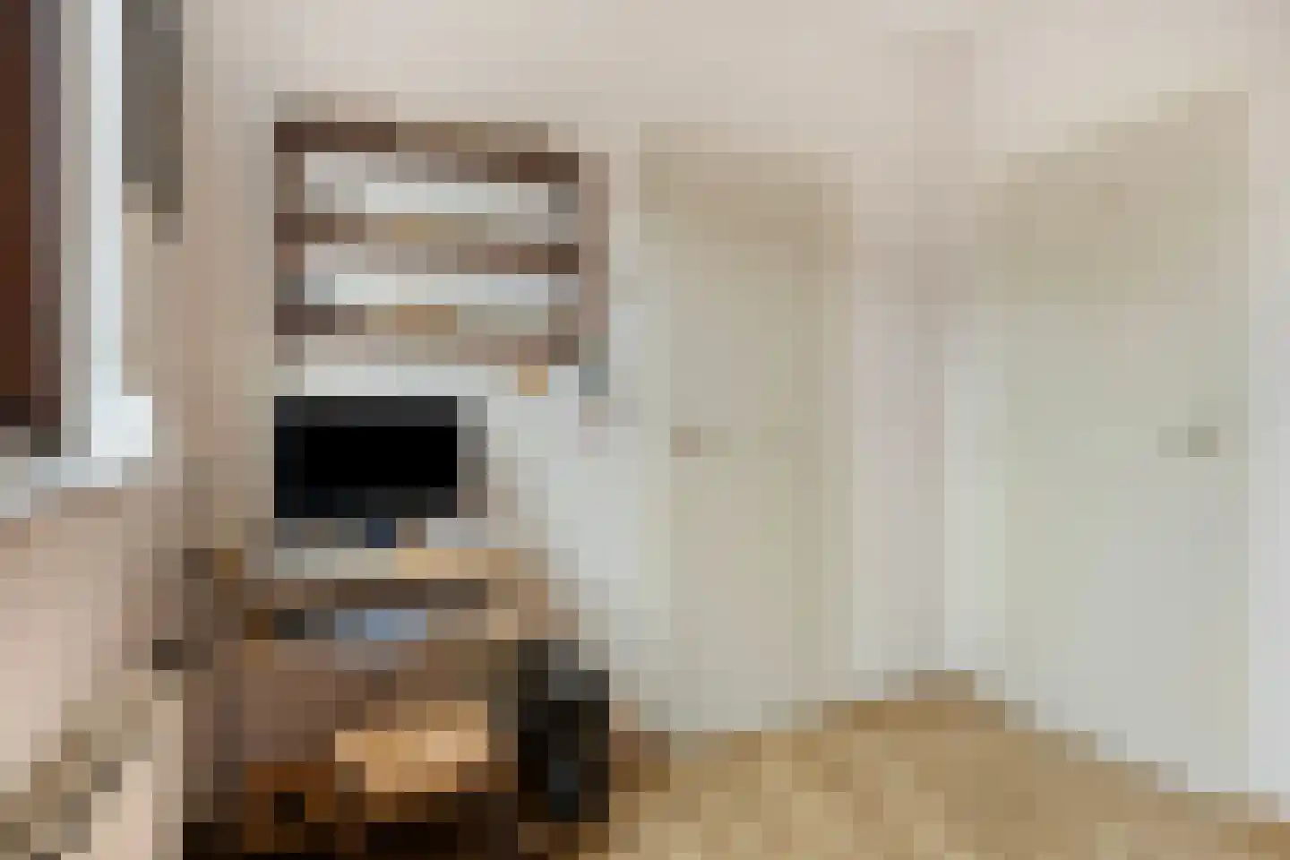 Secretaris Bertenslaan 3 Halsteren thumbnail 16