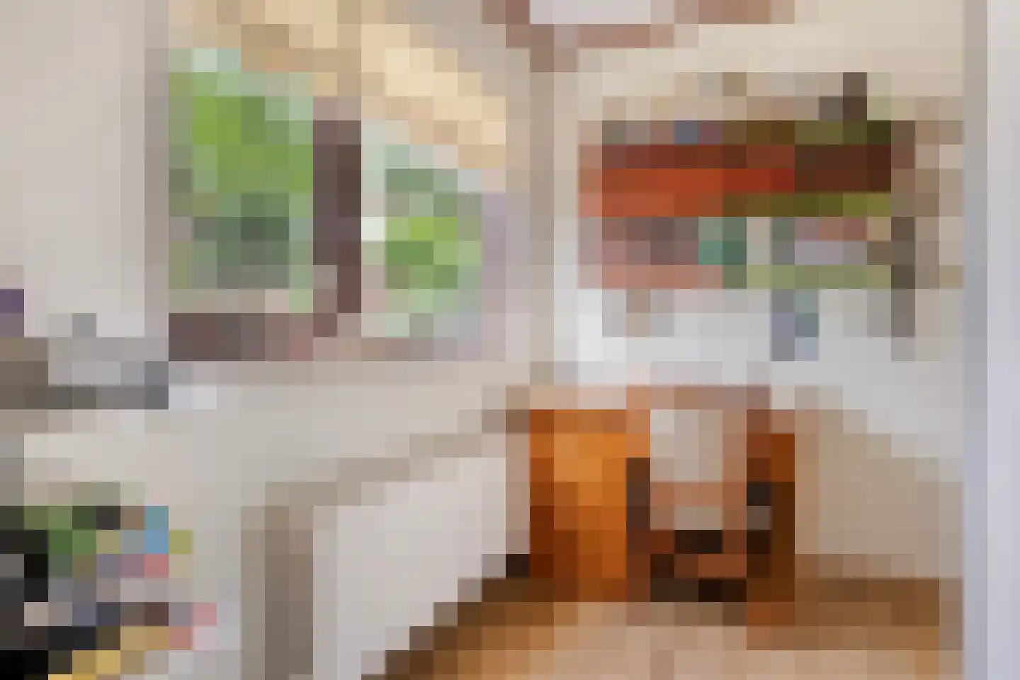Secretaris Bertenslaan 3 Halsteren thumbnail 19