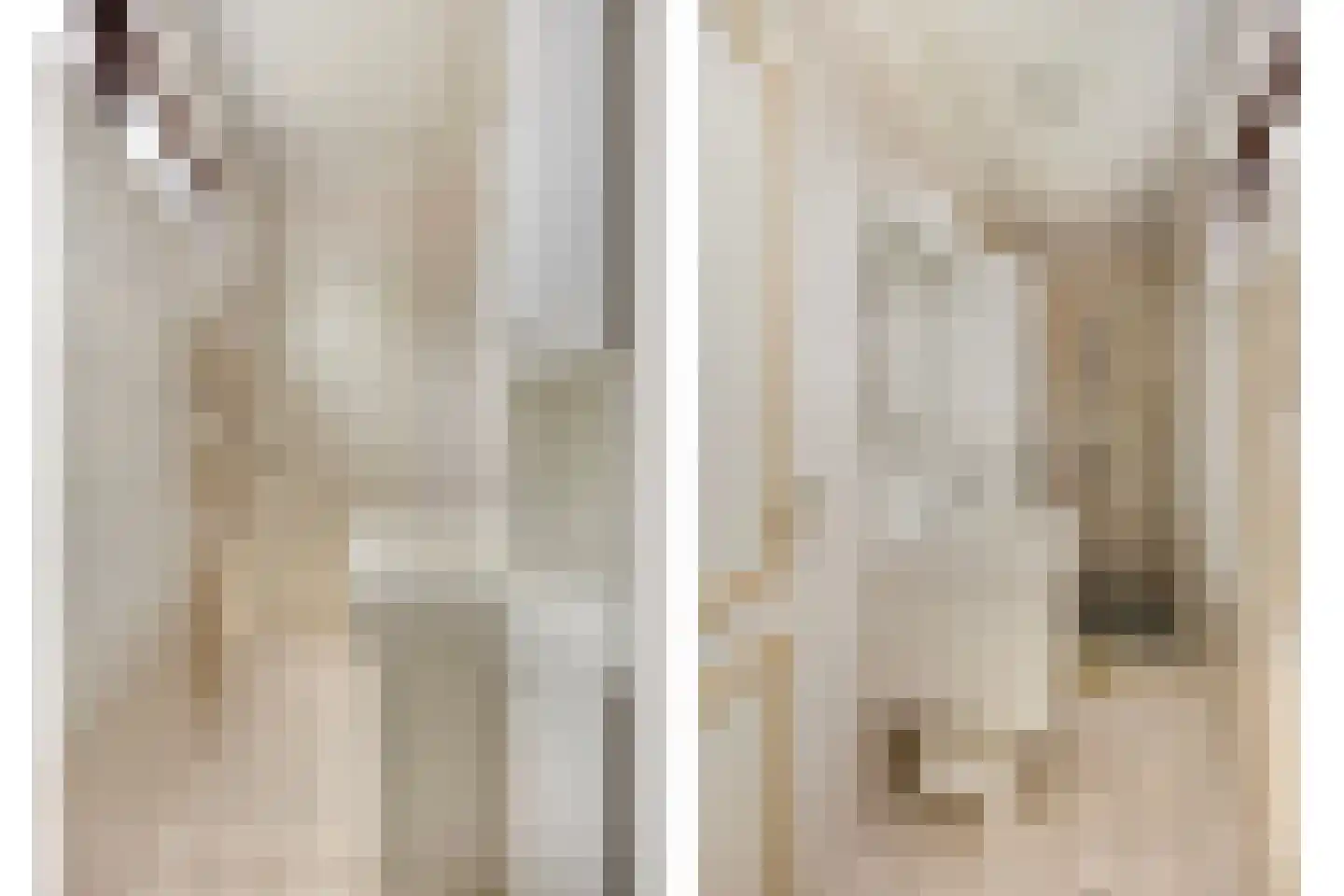 Secretaris Bertenslaan 3 Halsteren thumbnail 20