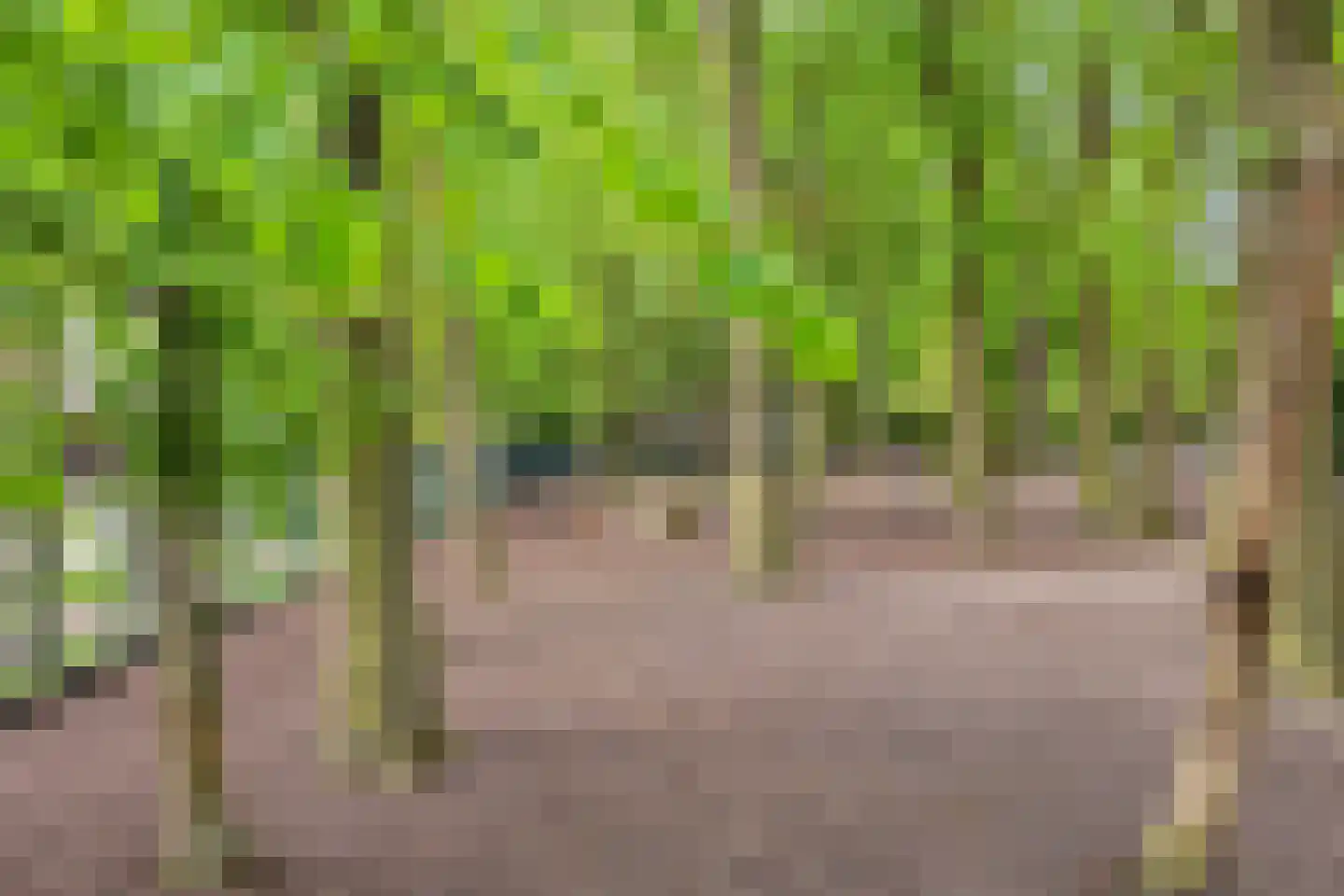 Secretaris Bertenslaan 3 Halsteren thumbnail 26