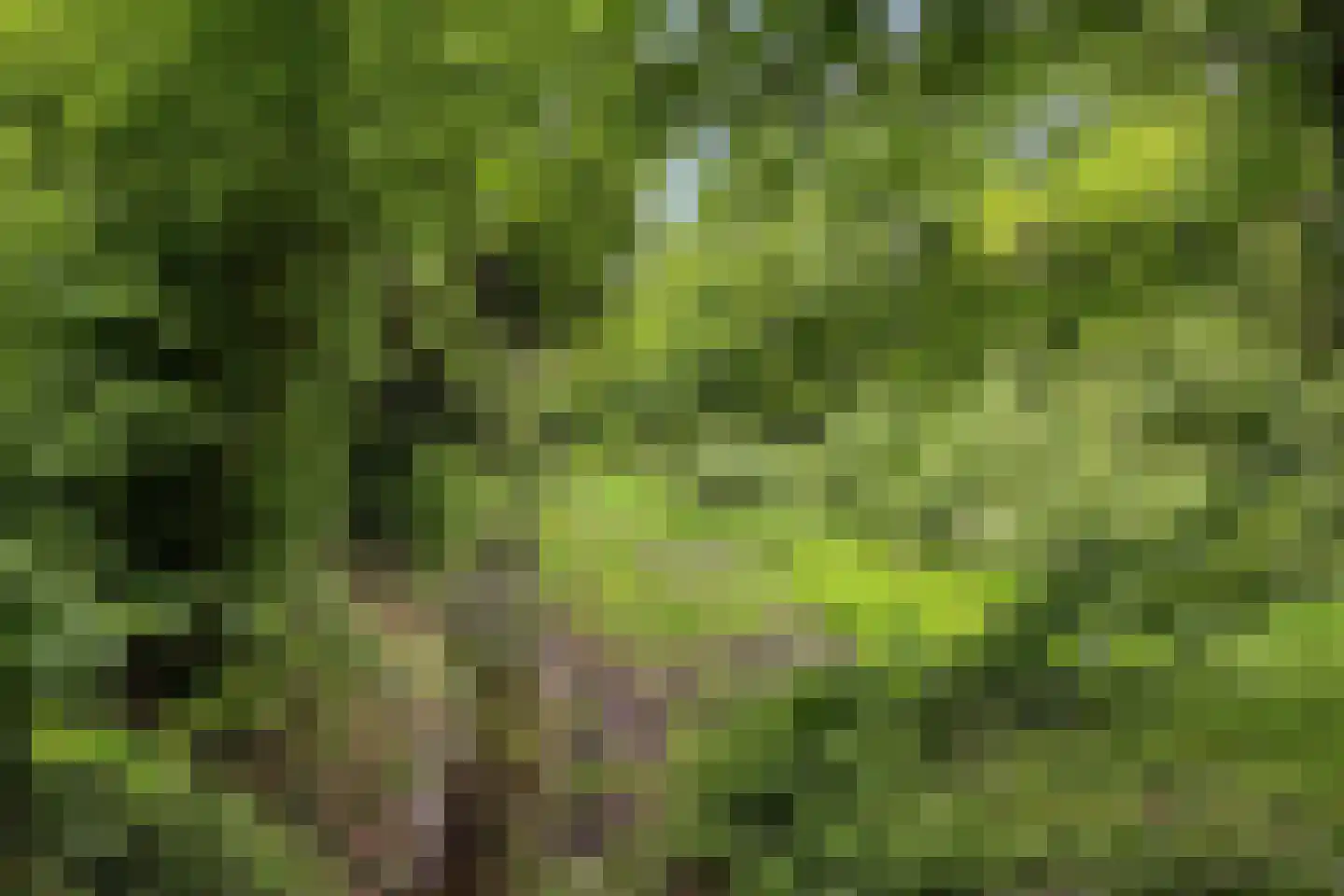 Secretaris Bertenslaan 3 Halsteren thumbnail 27
