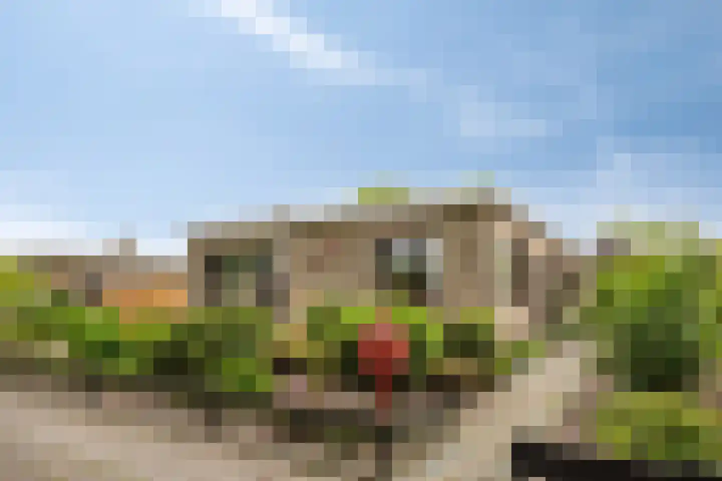 Secretaris Bertenslaan 3 Halsteren thumbnail 29