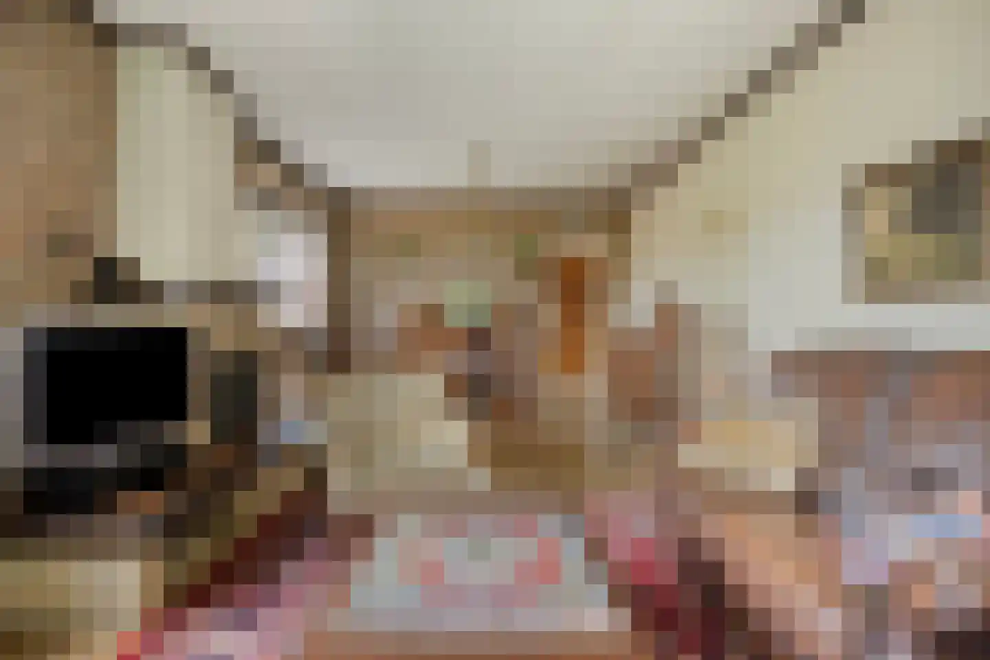 Secretaris Bertenslaan 3 Halsteren thumbnail 4
