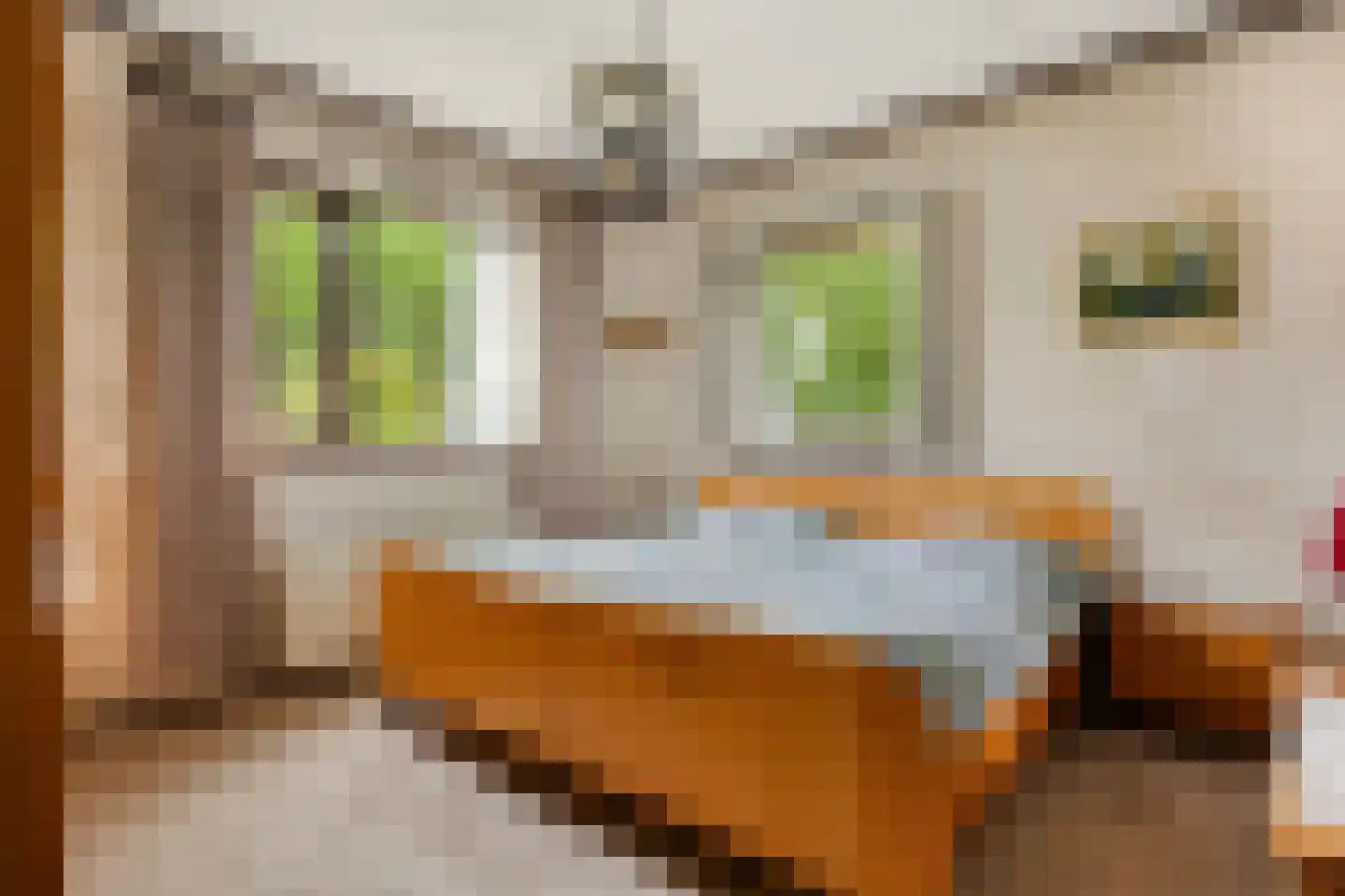 Secretaris Bertenslaan 3 Halsteren thumbnail 5