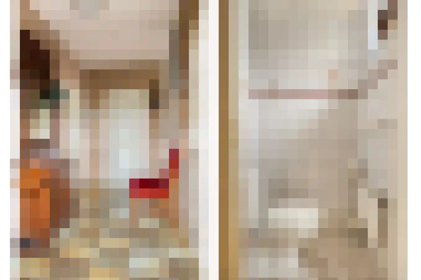 Secretaris Bertenslaan 3 Halsteren thumbnail 7