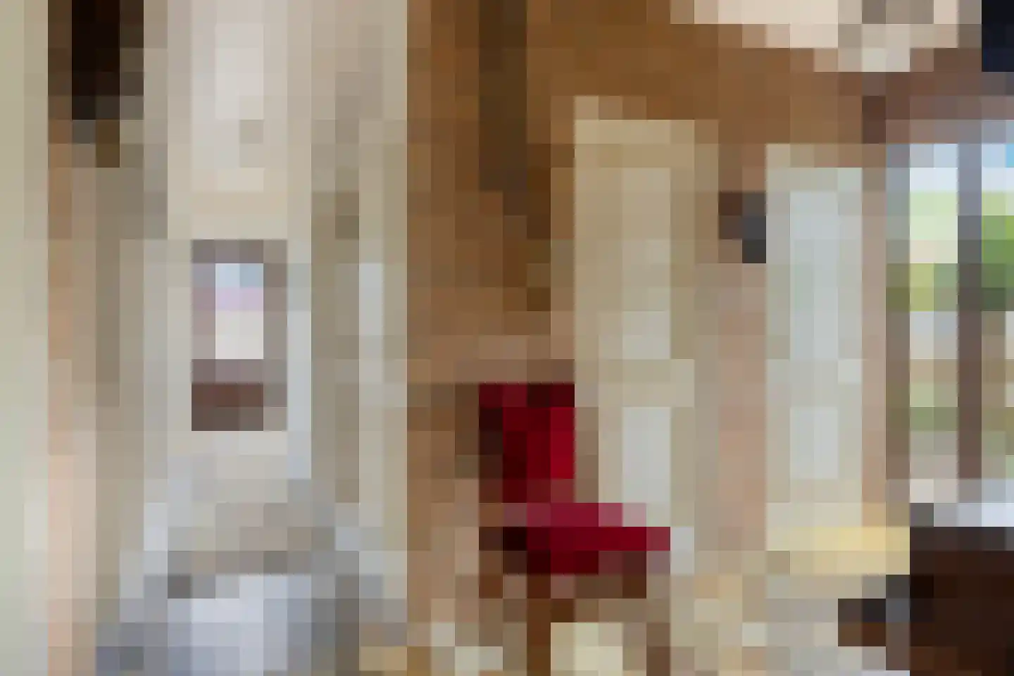 Secretaris Bertenslaan 3 Halsteren thumbnail 8