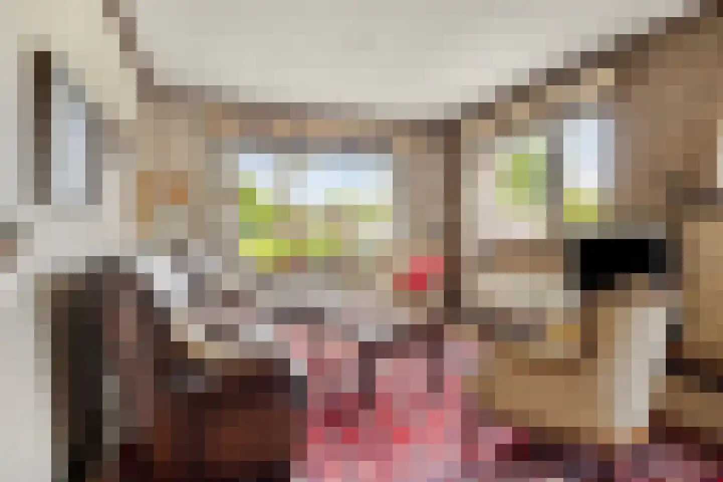 Secretaris Bertenslaan 3 Halsteren thumbnail 9