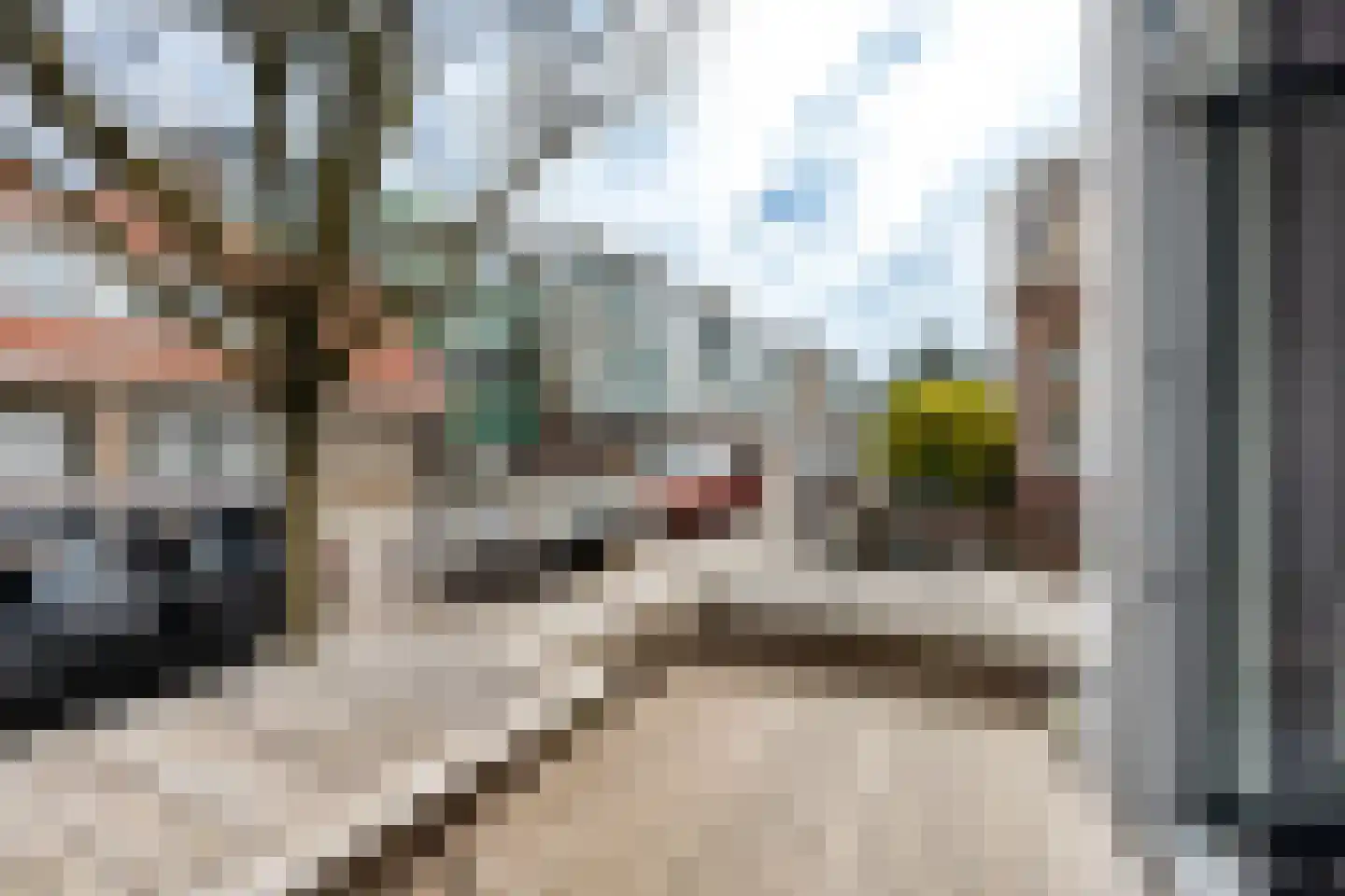 Secretaris Bosmanstraat 19 Zandvoort thumbnail 7