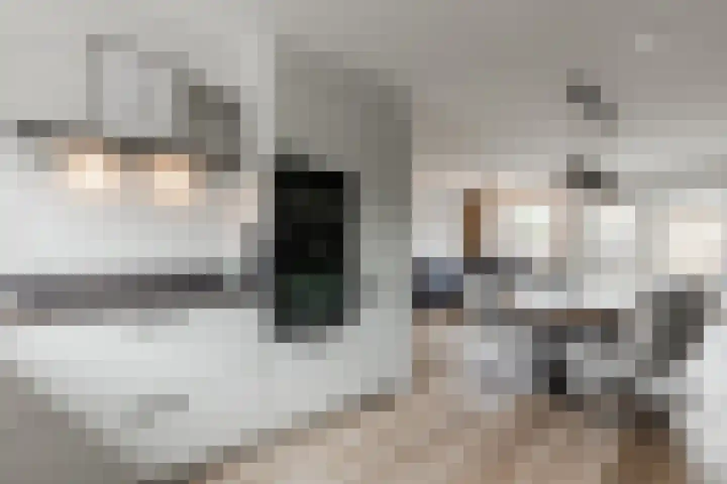Secretaris Bosmanstraat 36 Zandvoort thumbnail 20