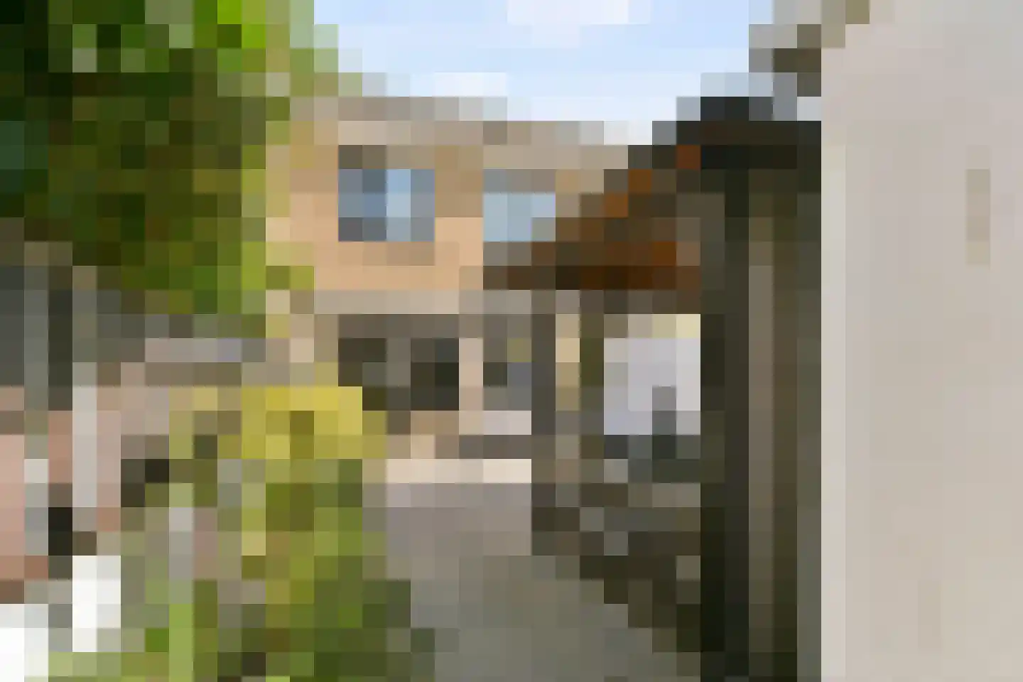 Secretaris Bosmanstraat 39 Zandvoort thumbnail 11
