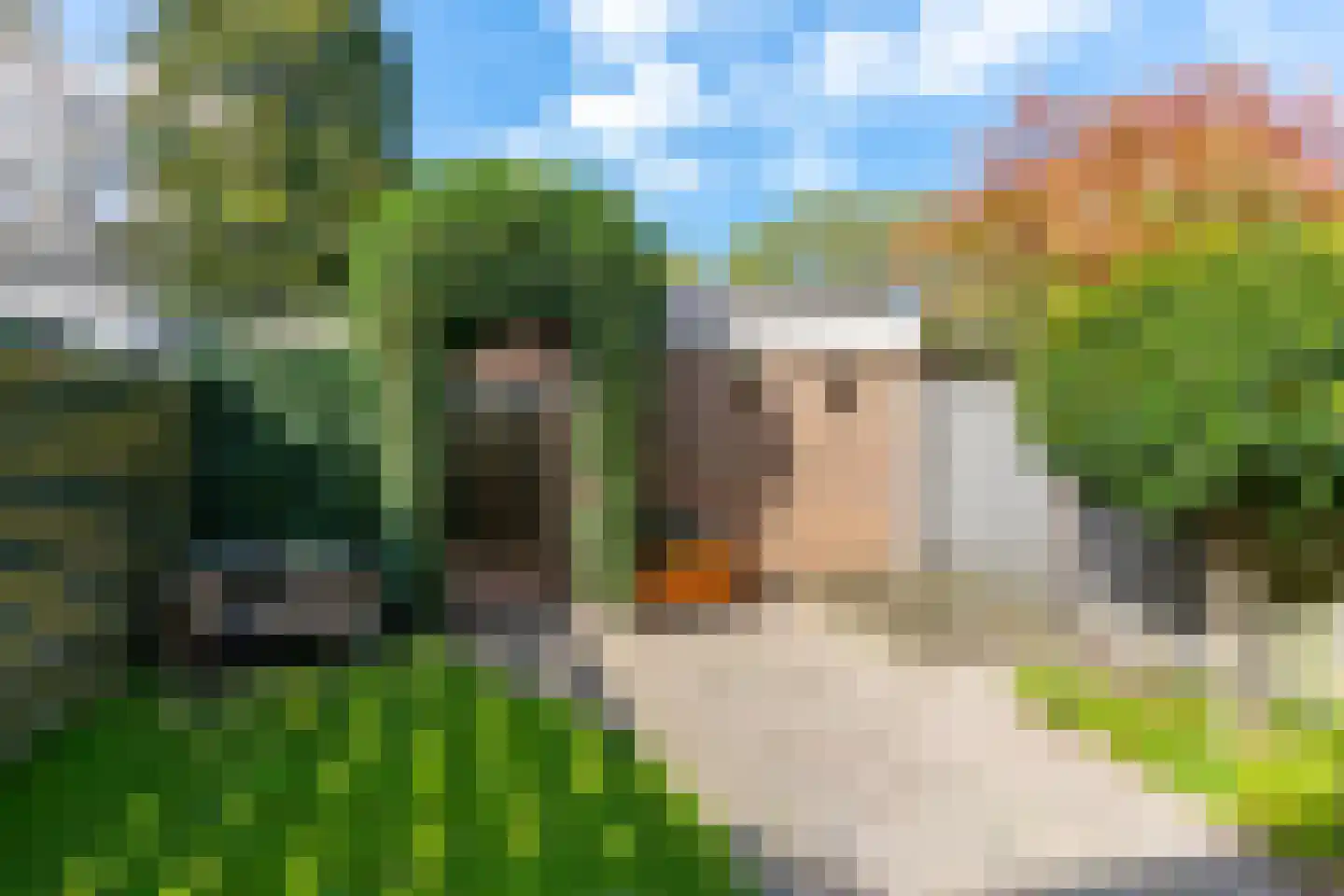 Secretaris de Jonglaan 7 Bunnik thumbnail 20