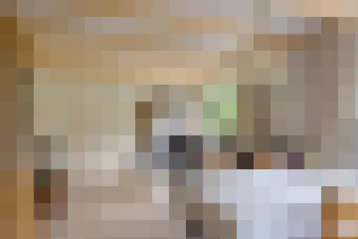 Secretaris Haitsmalaan 65 Bolsward thumbnail 14