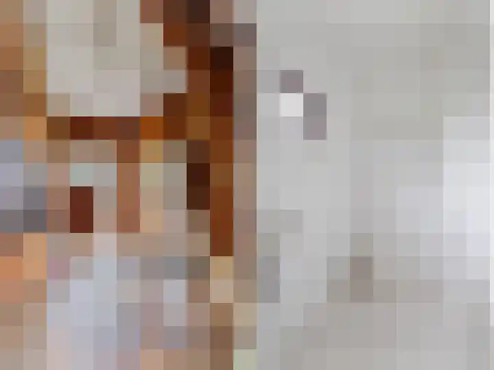 Secretaris Haitsmalaan 65 Bolsward thumbnail 21