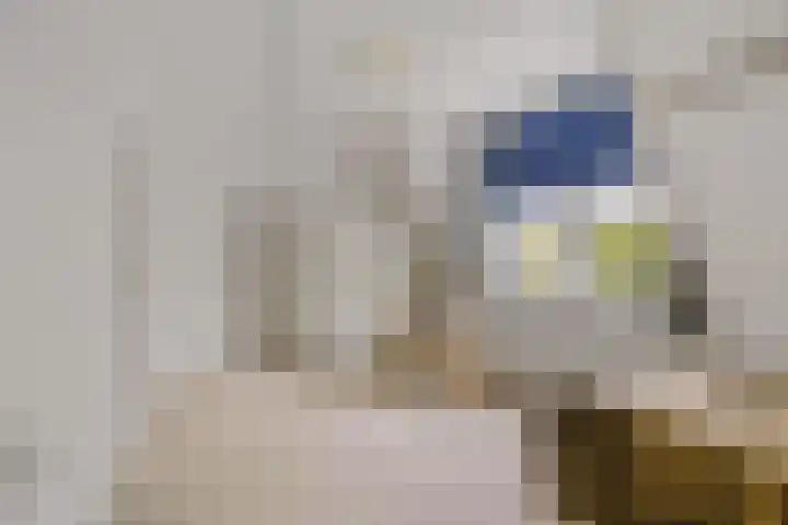 Secretaris Haitsmalaan 65 Bolsward thumbnail 24