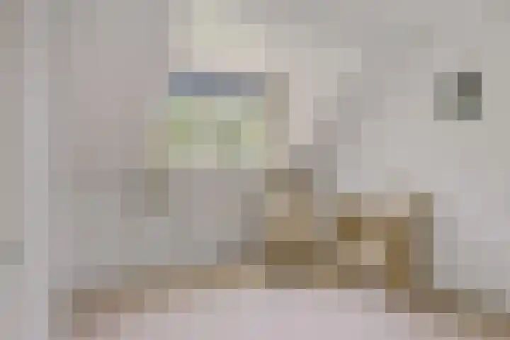 Secretaris Haitsmalaan 65 Bolsward thumbnail 25