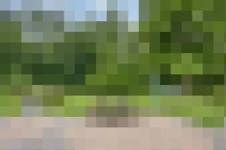 Secretaris Haitsmalaan 65 Bolsward thumbnail 35
