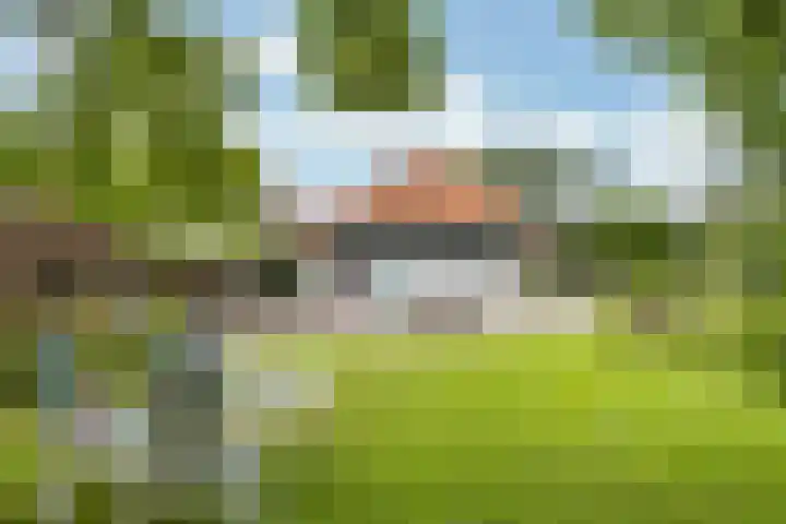 Secretaris Haitsmalaan 65 Bolsward thumbnail 37
