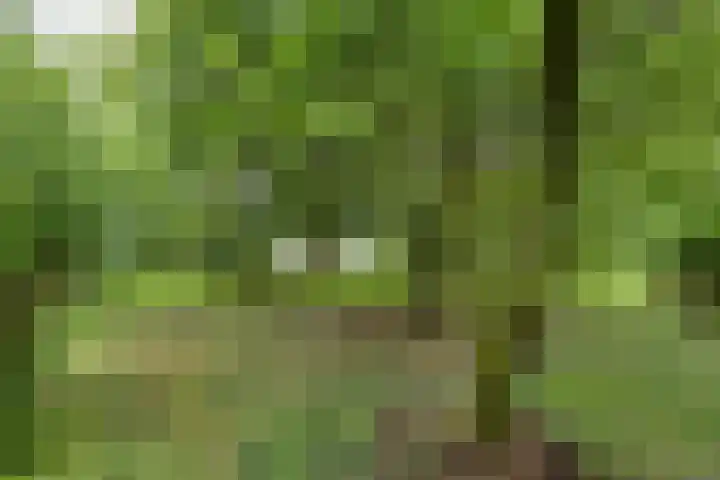 Secretaris Haitsmalaan 65 Bolsward thumbnail 38