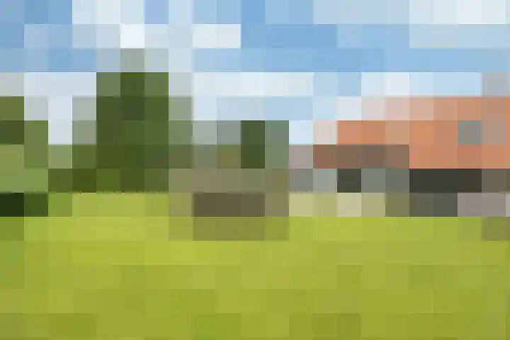 Secretaris Haitsmalaan 65 Bolsward thumbnail 41