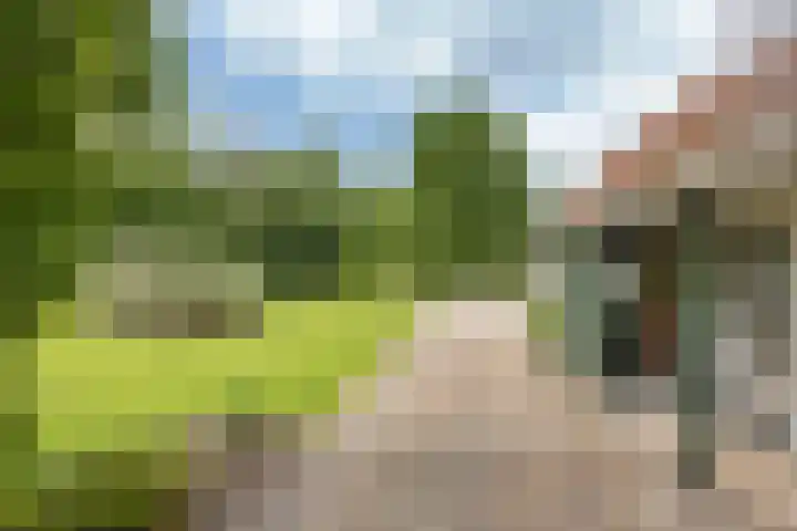 Secretaris Haitsmalaan 65 Bolsward thumbnail 43