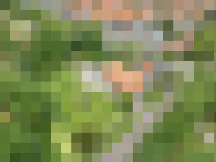 Secretaris Haitsmalaan 65 Bolsward thumbnail 44