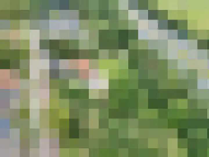 Secretaris Haitsmalaan 65 Bolsward thumbnail 45